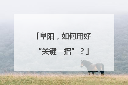 阜阳，如何用好“关键一招”？