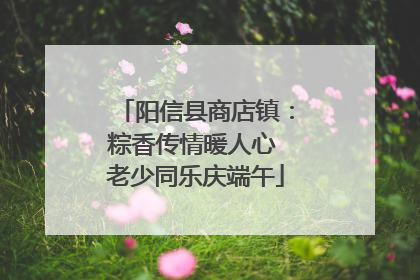 阳信县商店镇：粽香传情暖人心 老少同乐庆端午