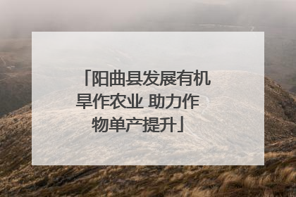 阳曲县发展有机旱作农业 助力作物单产提升