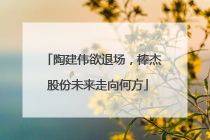 陶建伟欲退场，棒杰股份未来走向何方