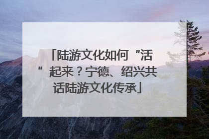 陆游文化如何“活 ”起来？宁德、绍兴共话陆游文化传承