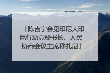 陈吉宁会见印尼大印尼行动党秘书长、人民协商会议主席穆扎尼
