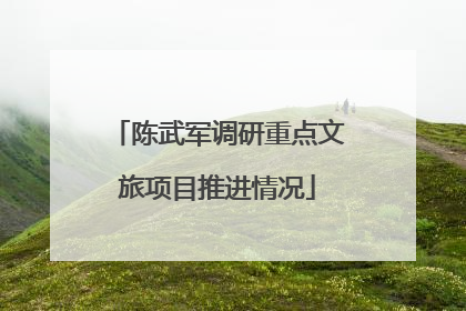 陈武军调研重点文旅项目推进情况