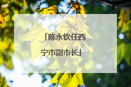 陈永钦任西宁市副市长