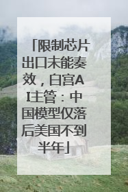 限制芯片出口未能奏效，白宫AI主管：中国模型仅落后美国不到半年