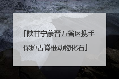 陕甘宁蒙晋五省区携手保护古脊椎动物化石