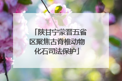 陕甘宁蒙晋五省区聚焦古脊椎动物化石司法保护