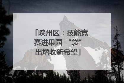 陕州区：技能竞赛进果园 “袋”出增收新希望
