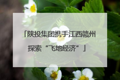 陕投集团携手江西赣州 探索“飞地经济”