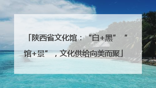 陕西省文化馆：“白+黑”“馆+景”，文化供给向美而聚