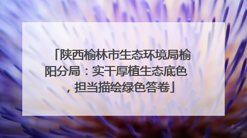 陕西榆林市生态环境局榆阳分局：实干厚植生态底色，担当描绘绿色答卷