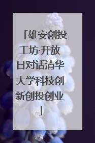 雄安创投工坊·开放日对话清华大学科技创新创投创业