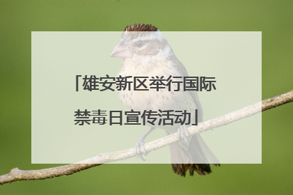雄安新区举行国际禁毒日宣传活动