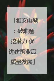 雅安雨城：破难题 挖潜力 促进建筑业高质量发展