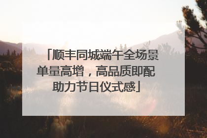 顺丰同城端午全场景单量高增，高品质即配助力节日仪式感