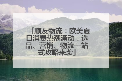顺友物流：欧美夏日消费热潮涌动，选品、营销、物流一站式攻略来袭