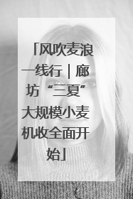 风吹麦浪一线行｜廊坊“三夏”大规模小麦机收全面开始