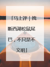 马上评｜拽断西湖松鼠尾巴，不只是不文明