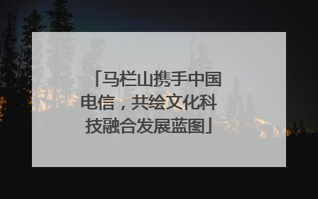 马栏山携手中国电信，共绘文化科技融合发展蓝图