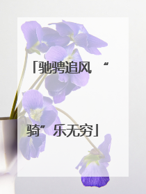 驰骋追风 “骑”乐无穷