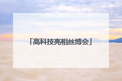 高科技亮相丝博会