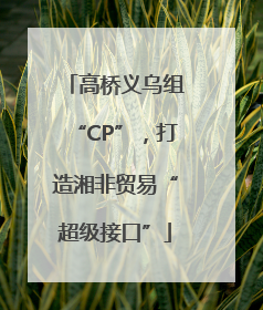 高桥义乌组“CP”，打造湘非贸易“超级接口”