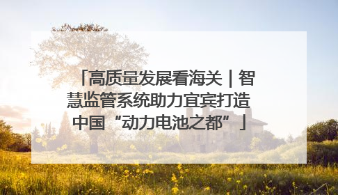 高质量发展看海关｜智慧监管系统助力宜宾打造中国“动力电池之都”