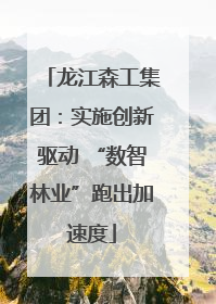 龙江森工集团：实施创新驱动 “数智林业”跑出加速度