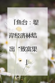 鱼台：堤岸经济林结出“致富果”