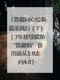 鲁疆同心绘新篇采风行（7）｜7年接续援助 “鲁疆情”食用菌从1.0走向4.0