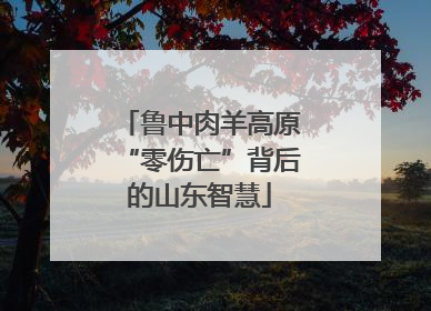 鲁中肉羊高原“零伤亡”背后的山东智慧