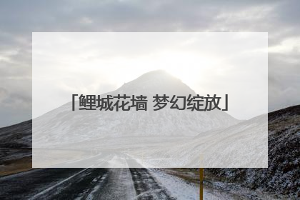 鲤城花墙 梦幻绽放