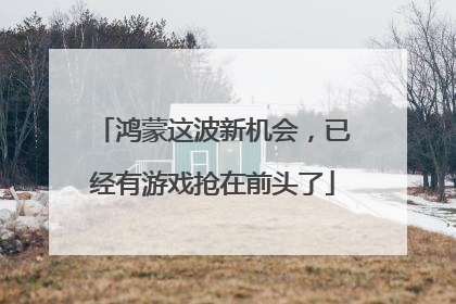 鸿蒙这波新机会，已经有游戏抢在前头了