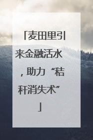 麦田里引来金融活水，助力“秸秆消失术”