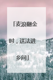 麦浪翻金时，送法进乡间