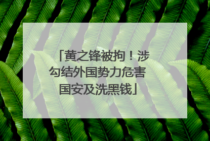 黄之锋被拘！涉勾结外国势力危害国安及洗黑钱