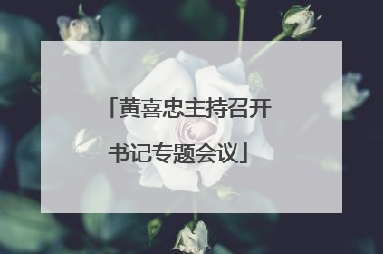 黄喜忠主持召开书记专题会议