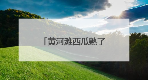 黄河滩西瓜熟了！梁山万余亩沙瓤瓜直达市民餐桌