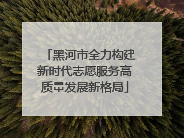 黑河市全力构建新时代志愿服务高质量发展新格局