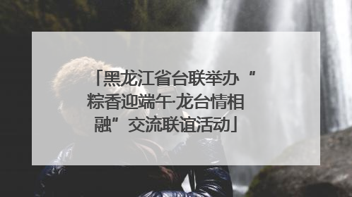 黑龙江省台联举办“粽香迎端午·龙台情相融”交流联谊活动