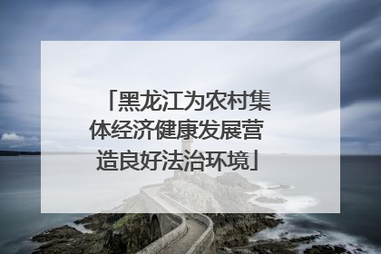 黑龙江为农村集体经济健康发展营造良好法治环境