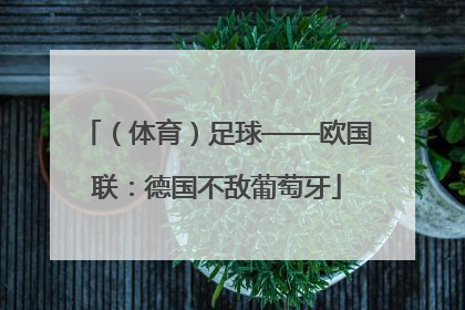 （体育）足球——欧国联：德国不敌葡萄牙