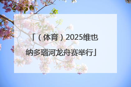 （体育）2025维也纳多瑙河龙舟赛举行