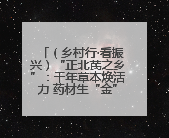 （乡村行·看振兴）“正北芪之乡”：千年草本焕活力 药材生“金”富农家
