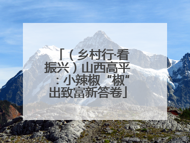 （乡村行·看振兴）山西高平：小辣椒“椒”出致富新答卷