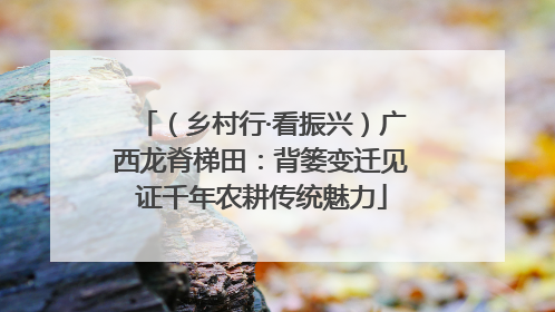 （乡村行·看振兴）广西龙脊梯田：背篓变迁见证千年农耕传统魅力