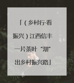 （乡村行·看振兴）江西信丰一片茶叶“沏”出乡村振兴路