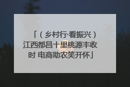（乡村行·看振兴）江西都昌十里桃源丰收时 电商助农笑开怀