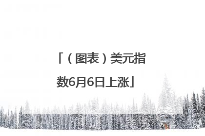 （图表）美元指数6月6日上涨