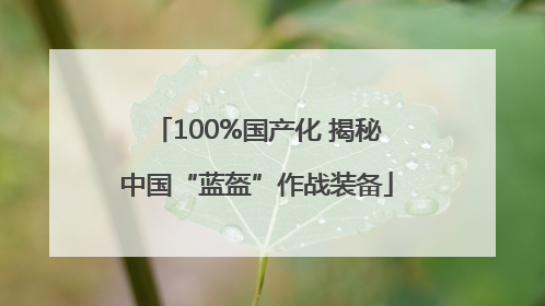 100%国产化 揭秘中国“蓝盔”作战装备